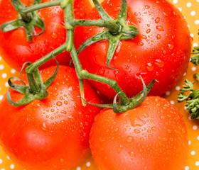 Overhead close up of juicy red vine tomatoes on table top