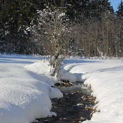 Flusslandschaft