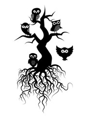 Fototapeta na wymiar Old tree vector silhouettes with roots and owls