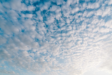 Pattern of cirrocumulus cloud on sunset blue sky - obrazy, fototapety, plakaty