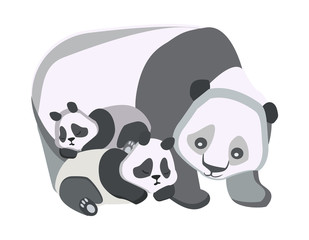 concept of happy family, wild animals on isolated background