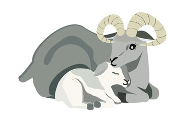 concept of happy family, wild animals on isolated background