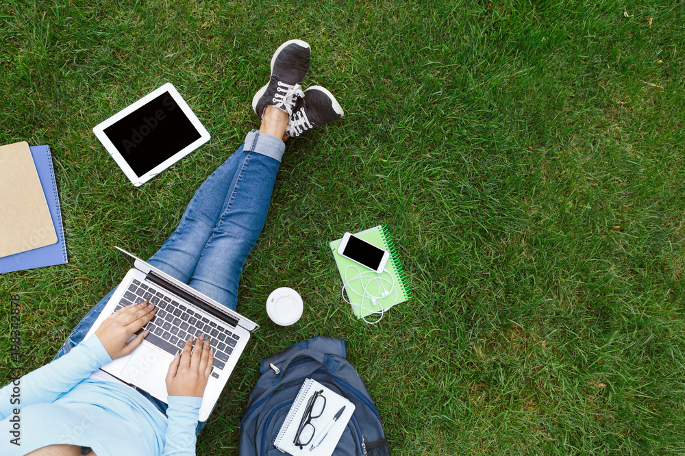 Wall mural top view of woman with laptop sitting on the green grass