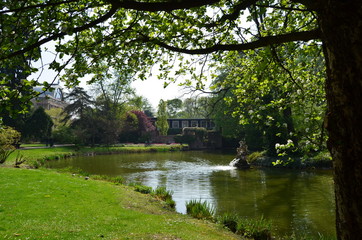 Obraz premium Mil y una flores