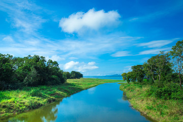 Sri Lanka Lake, Sri lanka landscape, Trees on water, Trees on lake