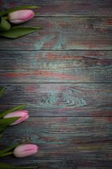 Border from bright pink tulips flowers on black wooden background. Selective focus, place for text