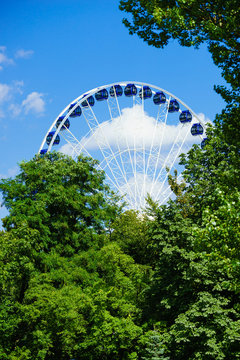 Ferris wheel behind trees