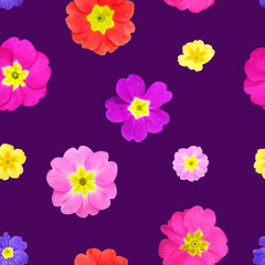 Seamless pattern from primrose flowers, photorealistic collage.
