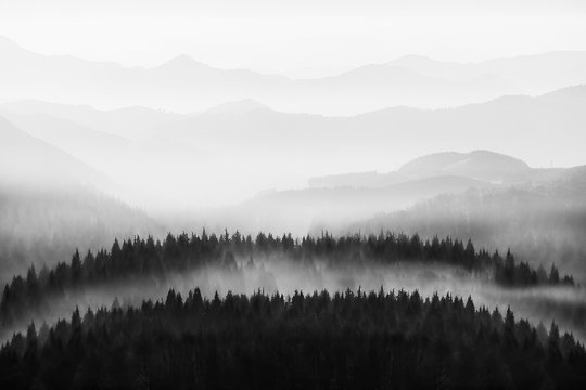 background of nature with trees and mountains silhouette in black and white