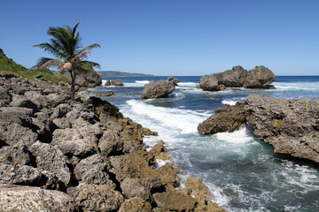 Fototapeta na wymiar Wave breaking among rocky shoreline, Barbados, Lesser Antilles, Caribbean