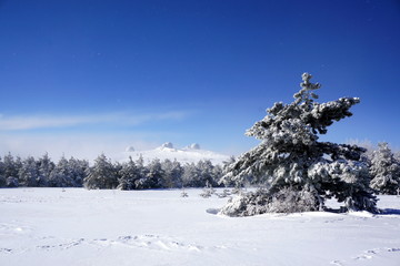 Зимний пейзаж с куполами