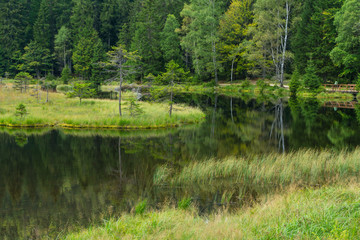 Obraz premium Kleiner Arbersee im Bayerischen Wald
