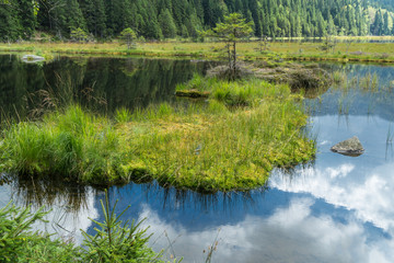 Kleiner Arbersee im Bayerischen Wald