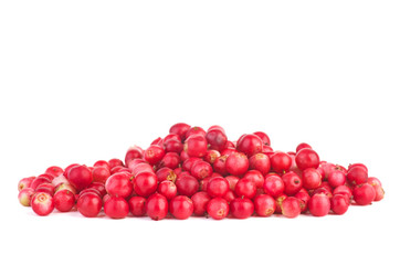 Cowberries pile