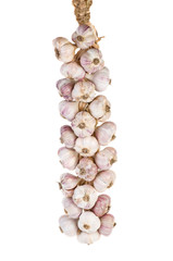 Knitted bundle of garlic