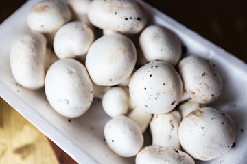 Fresh Button Mushrooms