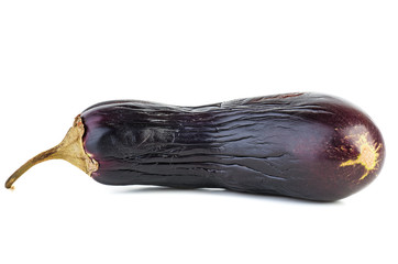 Drooped eggplant