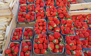 barquettes de fruits rouge