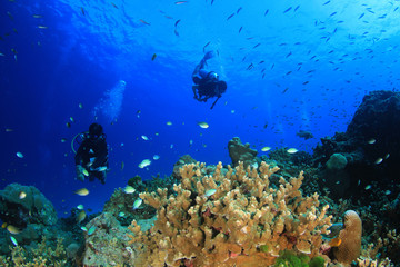 Fototapeta na wymiar Scuba divers on coral reef
