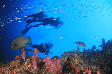 Scuba dive on coral reef underwater
