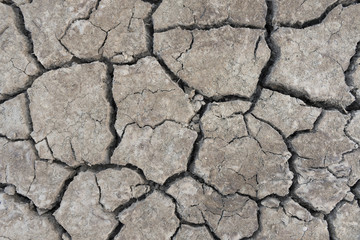 Barren ground. Dry and cracked earth background