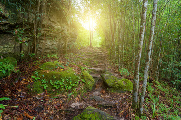Beautiful landscape of walkway to hiking