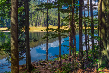Obraz premium Kleiner Arbersee im Bayerischen Wald