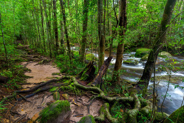 Beautiful landscape of walkway to hiking with waterfall.