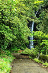A cool refreshing waterfall pouring from a cliff at the end of a mountain path hidden in a...