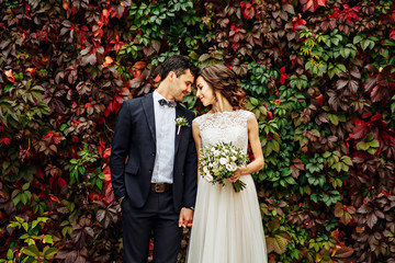 groom and bride posing in front ol old brick wall with ivy - Powered by Adobe