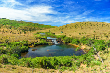 Fototapeta premium Piękna łąka krajobrazowa od krańca świata w Parku Narodowym Horton Plains na Sri Lance.