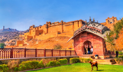 View of Amer Fort from its garden. A major tourist attraction in Jaipur - Rajasthan, India