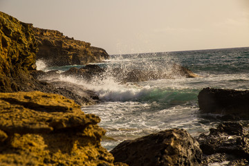 Obraz premium the solar panel for a campaign charges phone 