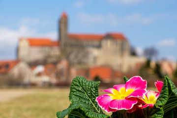 Fototapeta na wymiar Blick auf das Quedlinburger Schloss im Frühling