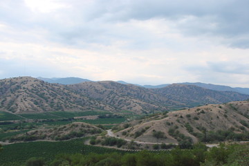 Fototapeta na wymiar Panorama of the Crimean vineyards in the valleys between the mountain ranges against the background of the cloudy summer sky.