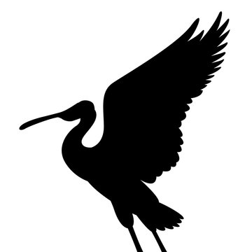 recommend clip art: roseate spoonbill bird vector illustration  black silhouette