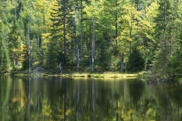 Stausee Martinsklause im Bayerischen Wald