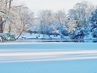 Park in Winter