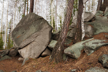 The large stones in the forest. Falcon stone, Ural