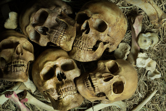 Pile of skulls and bone put on the straw on dark background.Still life image and art visual with selective focus.