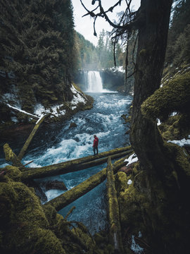 Person standing on a logg in front of a giant waterfall dropping from a ridge between pinetress in Oregon, USA