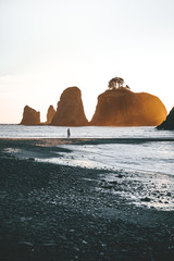Small person standing on rocky beach in front of giant rock formations with evening glow from the side  near La Push, USA