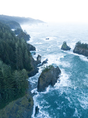 Aerial photograph of Oregon Coast beach with rock formations and pinetrees near Brookings, USA