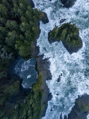 Aerial photograph of Oregon Coast beach with rock formations and pinetrees near Brookings, USA