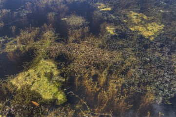 Zippel Bay State Park on Lake of the Woods, Minnesota