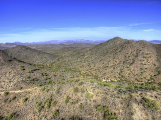 Arizona Desert in Wintertime