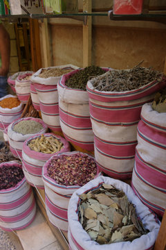 Defferent kinda of herbs
