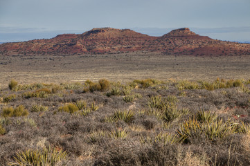 Arizona Desert in Wintertime