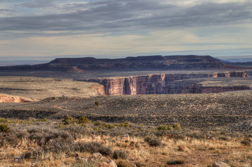 Arizona Desert in Wintertime