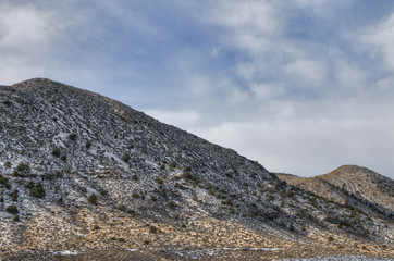 Arizona Desert in Wintertime